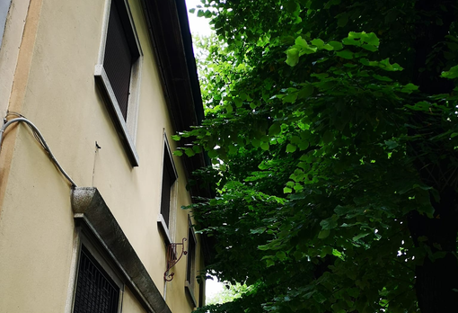 foto per cortesia di Giuseppe Bandi pagina Facebook