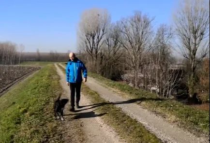 Un asteroide celebra il fiuto di Pimpa, la cagnolina &quot;spaziale&quot; passata da Varese