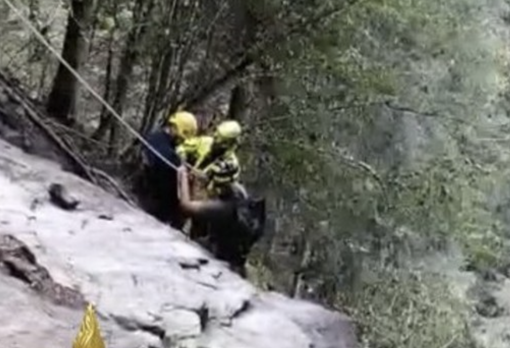 Valsesia, due cercatori di funghi del Varesotto dispersi nei boschi: salvati dopo ore di ricerche