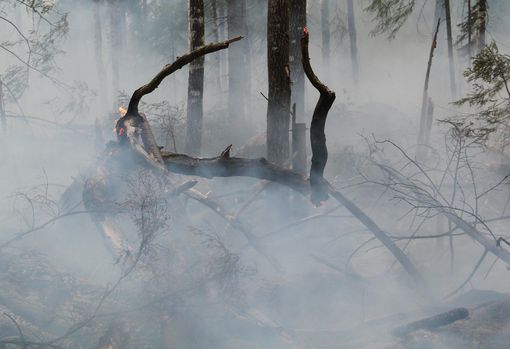 Torna l'incubo dei roghi in Sardegna