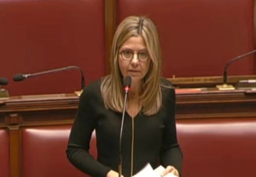 «L’agitazione e lo sventolio rabbioso di fogli in Aula non servono a nascondere una semplice verità: la ministra Bernini non è in grado di dare risposte sui tagli alle università»