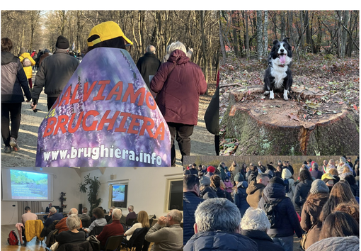 Malpensa 2035: alla ricerca di un equilibrio tra sviluppo e sostenibilità