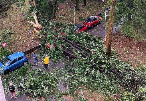 FOTO. Il maltempo colpisce anche l'ospedale di Tradate: allagamenti, alberi caduti e ripercussioni sull'attività sanitaria