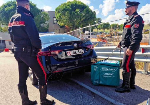 (foto da TicinoNotizie.it) (foto da TicinoNotizie.it)