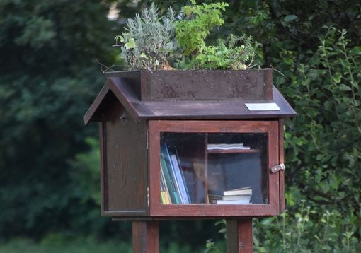 Casetta o cassetta a Gallarate: la bacheca dei libri in via Gorizia diventa un caso Casetta o cassetta a Gallarate: la bacheca dei libri in via Gorizia diventa un caso