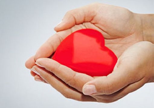 Plasma «prezioso più dell'oro»: il messaggio e il ringraziamento dei donatori Avis di Fagnano Olona