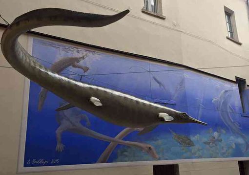 Pnrr, Bodio Lomnago e Besano: al via la creazione del primo distretto culturale della preistoria tra fossili e palafitte Pnrr, Bodio Lomnago e Besano: al via la creazione del primo distretto culturale della preistoria tra fossili e palafitte