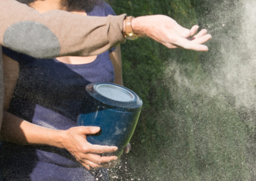 La scelta della cremazione: un rito antico, una decisione moderna