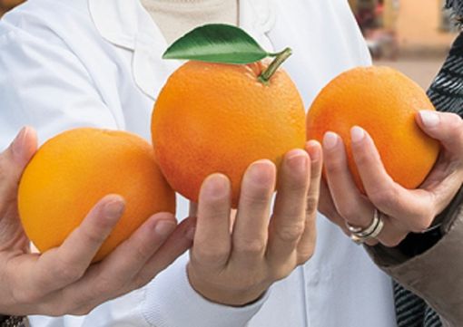 Le arance della salute di Airc tornano nelle piazze
