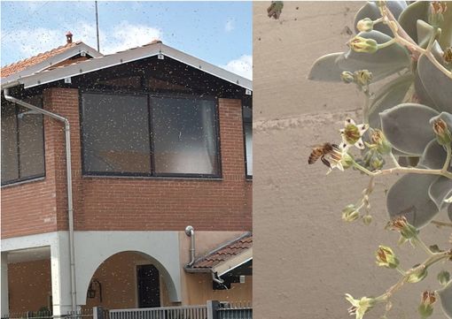 foto e video per cortesia di Valentina Mancuso