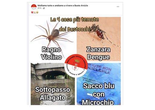 I tormentoni dei bustocchi. E il sacco azzurro se la vede con la zanzara Dengue I tormentoni dei bustocchi. E il sacco azzurro se la vede con la zanzara Dengue