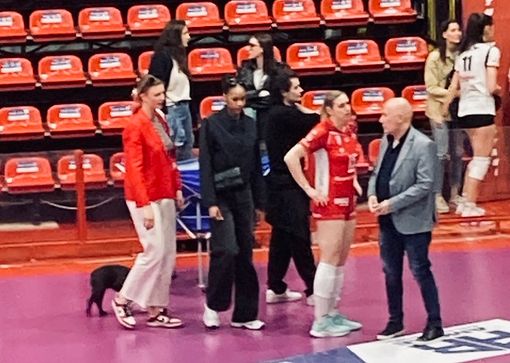 Il campionissimo della Castellanza Pesi, Christian Farina. Sotto, da sinistra: Farina, Cerini, Croci, Greco e Podda Il campionissimo della Castellanza Pesi, Christian Farina. Sotto, da sinistra: Farina, Cerini, Croci, Greco e Podda