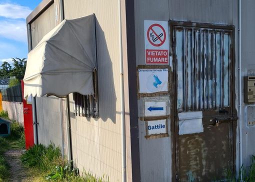 Incursione e micia uccisa. Grave episodio al gattile di Rho