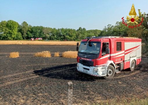 In fiamme un campo di grano a Busto: nessun ferito