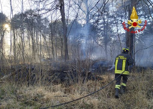 Brucia il bosco al parco delle Groane: in fumo diecimila metri quadri di vegetazione
