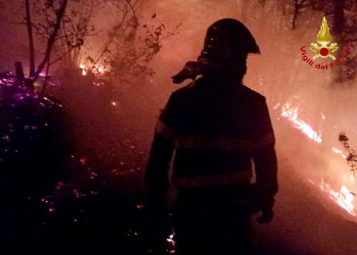Canadair in azione per domare l'incendio di Angera