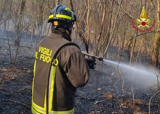 Ancora un incendio nei boschi: vigili del fuoco a Samarate. FOTO Ancora un incendio nei boschi: vigili del fuoco a Samarate. FOTO