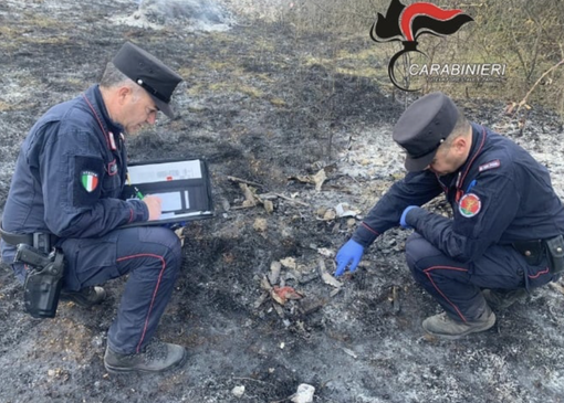 Incendi nei boschi di Ispra e Induno Olona: individuati i presunti responsabili