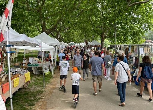 Tutti sul lungolago a gustare asparagi e fragole: ennesimo successo per la Pro Loco di Gavirate Tutti sul lungolago a gustare asparagi e fragole: ennesimo successo per la Pro Loco di Gavirate