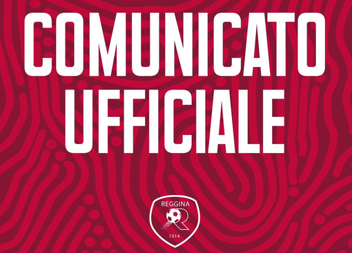 L'estate calda del calcio non è finita. Ricorso, ma anche mobilitazione di istituzioni e tifosi: la &quot;rivolta&quot; della Reggina esclusa dalla B