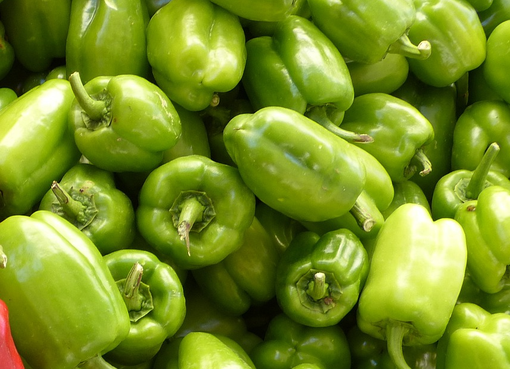 I &quot;bruschi&quot; o sottaceti, compagni prelibati