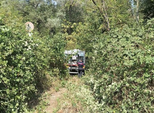 Un'immagine diffusa dal Comune di Turbigo Un'immagine diffusa dal Comune di Turbigo