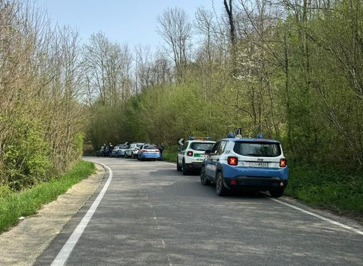 Blitz nei boschi dello spaccio tra Besozzo, Travedona e Bardello: 70 persone controllate, smantellati due bivacchi