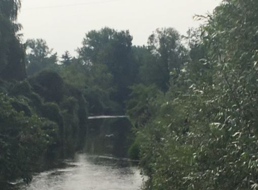 L'Olona nel tratto varesino: l'allarme è scattato in quello milanese, ma la preoccupazione è diffusa