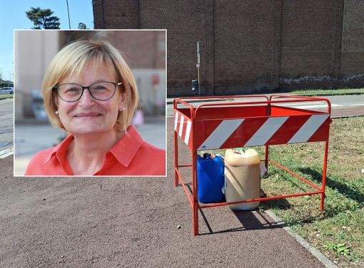 Le taniche in viale Rimembranze, nel riquadro la consigliera Cinzia Berutti