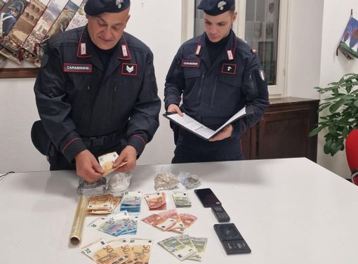 Ancora droga nei boschi del Varesotto: arrestato un pusher a Gorla Minore e sequestrati 700 grammi di stupefacenti Ancora droga nei boschi del Varesotto: arrestato un pusher a Gorla Minore e sequestrati 700 grammi di stupefacenti