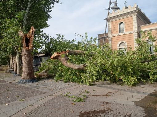 Legnano, i danni del maltempo: alberi caduti, palo della luce piegato e allagamento in via Milano