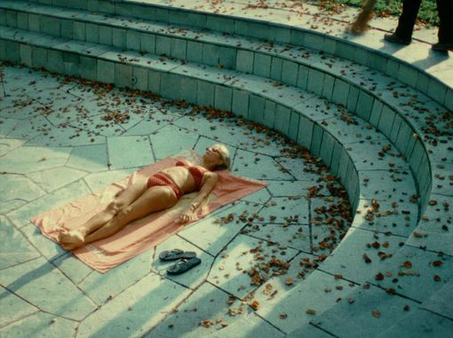 Fish Fingers di Lars Mulle, Big di Daniele Pini e Mushrooms for the Soul di Jimi Rosling Fish Fingers di Lars Mulle, Big di Daniele Pini e Mushrooms for the Soul di Jimi Rosling