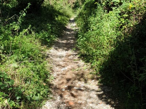 Castellanza, segnalazione sul sentiero pedonale tra la stazione e viale Borri: «Erba alta e poca manutenzione» Castellanza, segnalazione sul sentiero pedonale tra la stazione e viale Borri: «Erba alta e poca manutenzione»