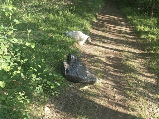 Agenda del verde pulito: doppio appuntamento e doppia pulizia in arrivo