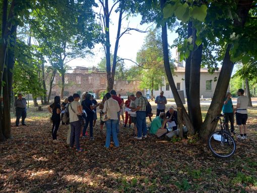 Le prime fasi del censimento