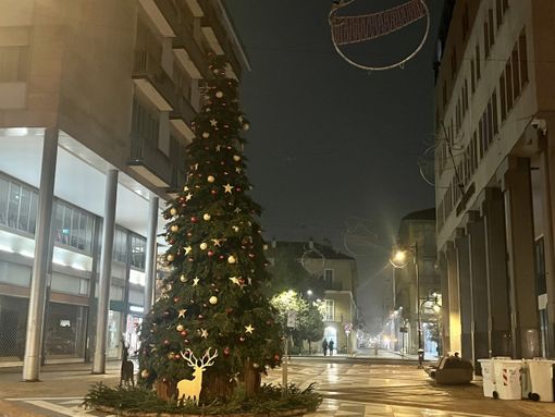 L'Albero di Natale in via Milano verrà illuminato sabato L'Albero di Natale in via Milano verrà illuminato sabato