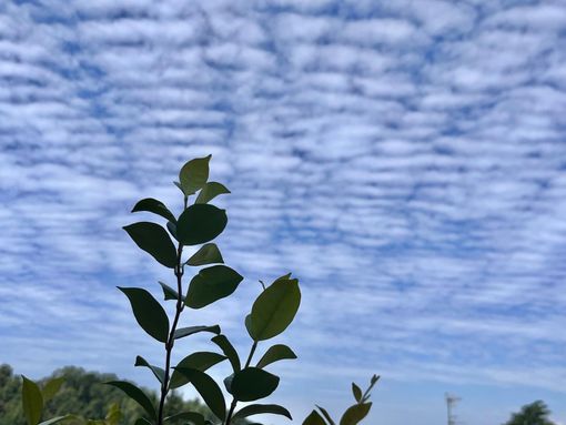 METEO. Sul Varesotto oggi possibile qualche temporale: poi sarà di nuovo afa METEO. Sul Varesotto oggi possibile qualche temporale: poi sarà di nuovo afa