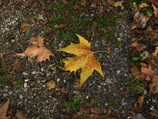 «Il weekend inizia con le nuvole e finisce con la pioggia»