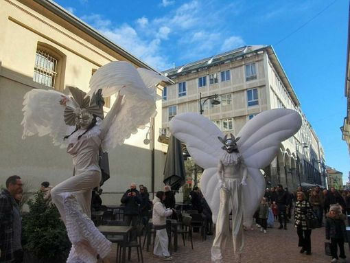 Dal Fringe Festival a Giorgio Rocca: Busto fra i cinque cerchi, fino all'ultimo