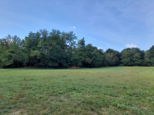 Aree verdi a Beata Giuliana, casa "designata" per il futuro ospedale Busto/Gallarate Aree verdi a Beata Giuliana, casa "designata" per il futuro ospedale Busto/Gallarate