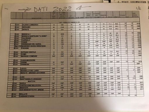 Natalia Marrese confermata ai vertici del Cav. L'anno scorso aiutati 34 bambini