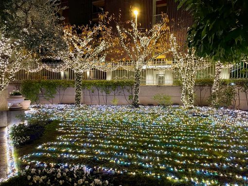 Busto, più di sei chilometri di Led nella “Casa delle lucine” di via Bramante Busto, più di sei chilometri di Led nella “Casa delle lucine” di via Bramante