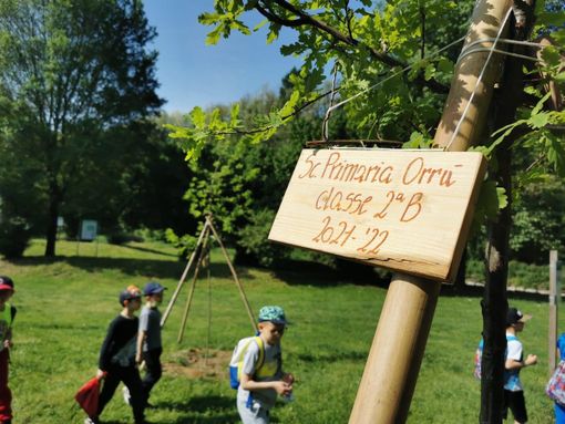 Fagnano, più di 300 alunni a Calipolis per la festa degli alberi. Ogni classe ne adotta uno