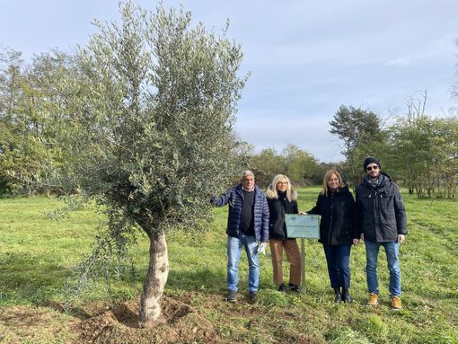 “Le radici nel domani”: cinque alberi al Parco De Curtis per celebrare i nuovi nati di Busto