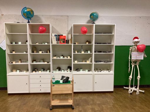 700 minerali a scuola: Castellanza inaugura l'aula-museo “Gianfelice Storni”