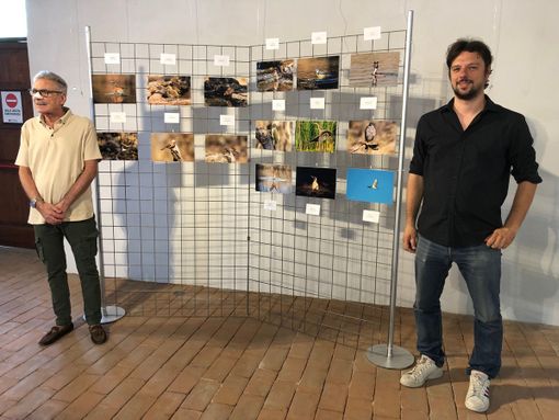“Infinitamente Natura”: gli scatti dei volatili dal Castello alle Piramidi nella mostra di Marzio Corbella “Infinitamente Natura”: gli scatti dei volatili dal Castello alle Piramidi nella mostra di Marzio Corbella