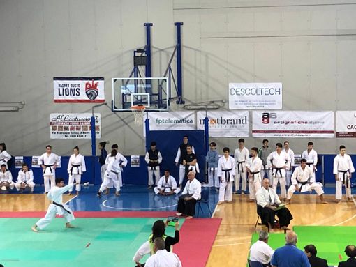 VIDEO. La crème del karate con 115 atleti al Paladrago