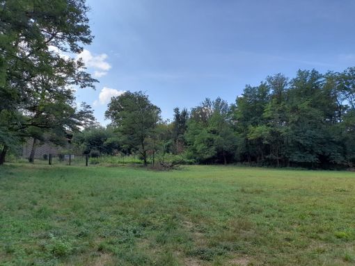 Puliamo insieme: natura e impegno alla Cascina dei Poveri
