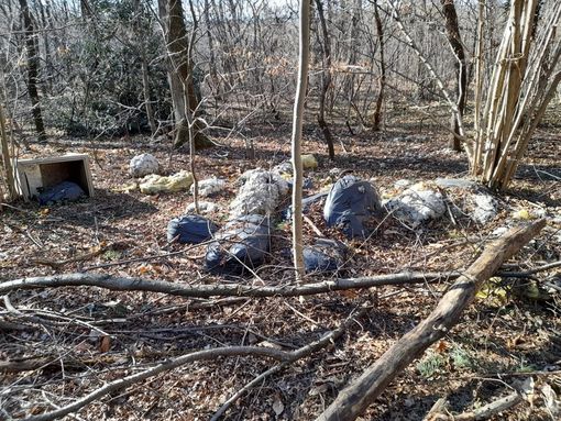 Immondizia abbandonata abusivamente a Gallarate Immondizia abbandonata abusivamente a Gallarate