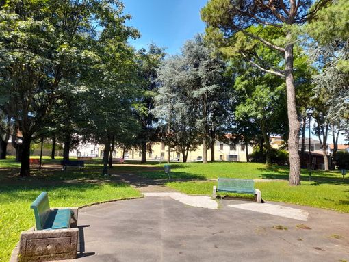 Il parco Avis Aido sarà vetrina per la nuova edizione di "Young revolution" Il parco Avis Aido sarà vetrina per la nuova edizione di "Young revolution"